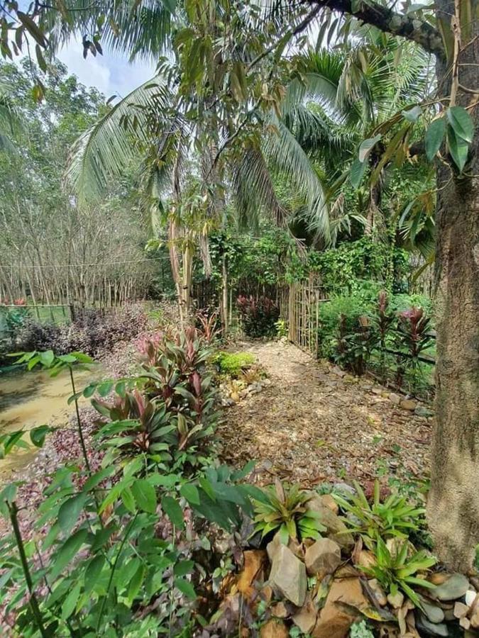 Nakhon Si Ban Na Homestay 洛坤府 外观 照片