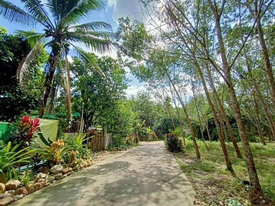 Nakhon Si Ban Na Homestay 洛坤府 外观 照片