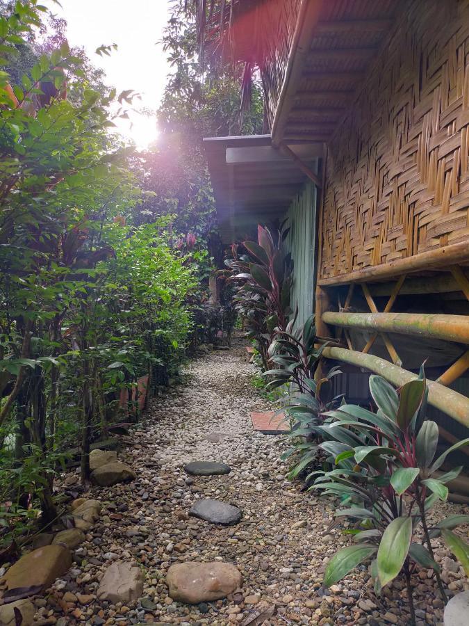 Nakhon Si Ban Na Homestay 洛坤府 外观 照片